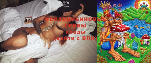 стаф Волосово
