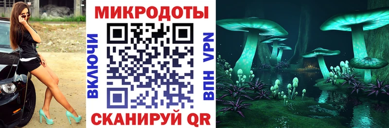 Псилоцибиновые грибы мухоморы  blacksprut маркетплейс  Камень-на-Оби 